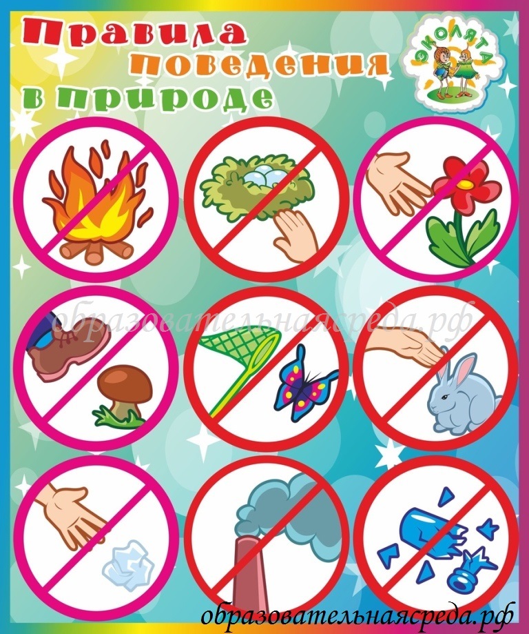 Стенд "Правила поведения в природе" 0,5*0,6м