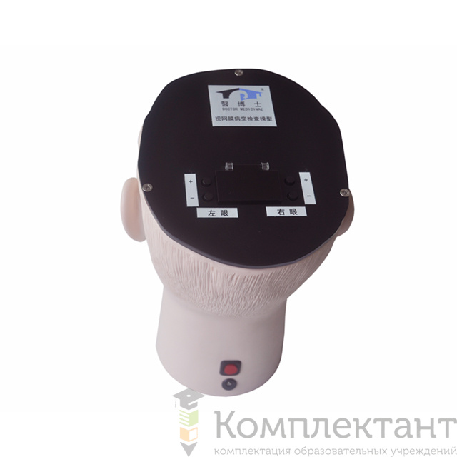 Тренажер обследования глазного дна